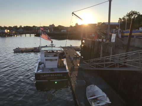 Once again, lobster is Maine's most valuable fishery