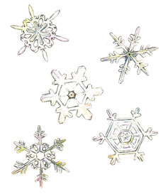 Snowflake