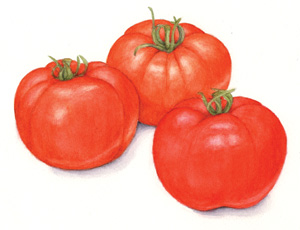 Tomatoes