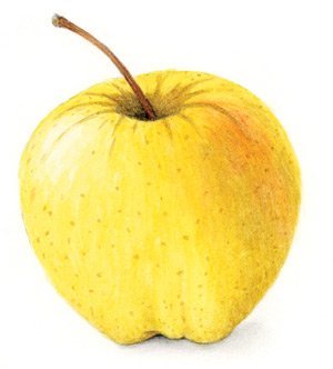 Awanadjo Almanack Apple