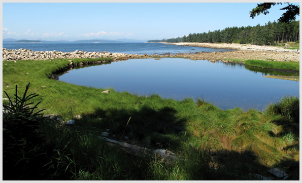 Frenchboro, Long Island saltpond