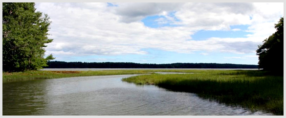 Maquoit Bay Preserve